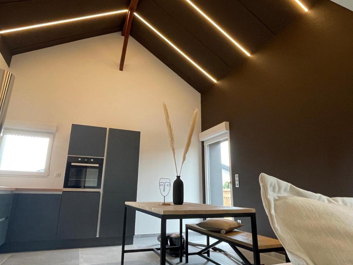 Gite Spa L'Atelier Emile - Spa Privatif - 5 Min Colmar Sainte-Croix-en-Plaine Exteriér fotografie