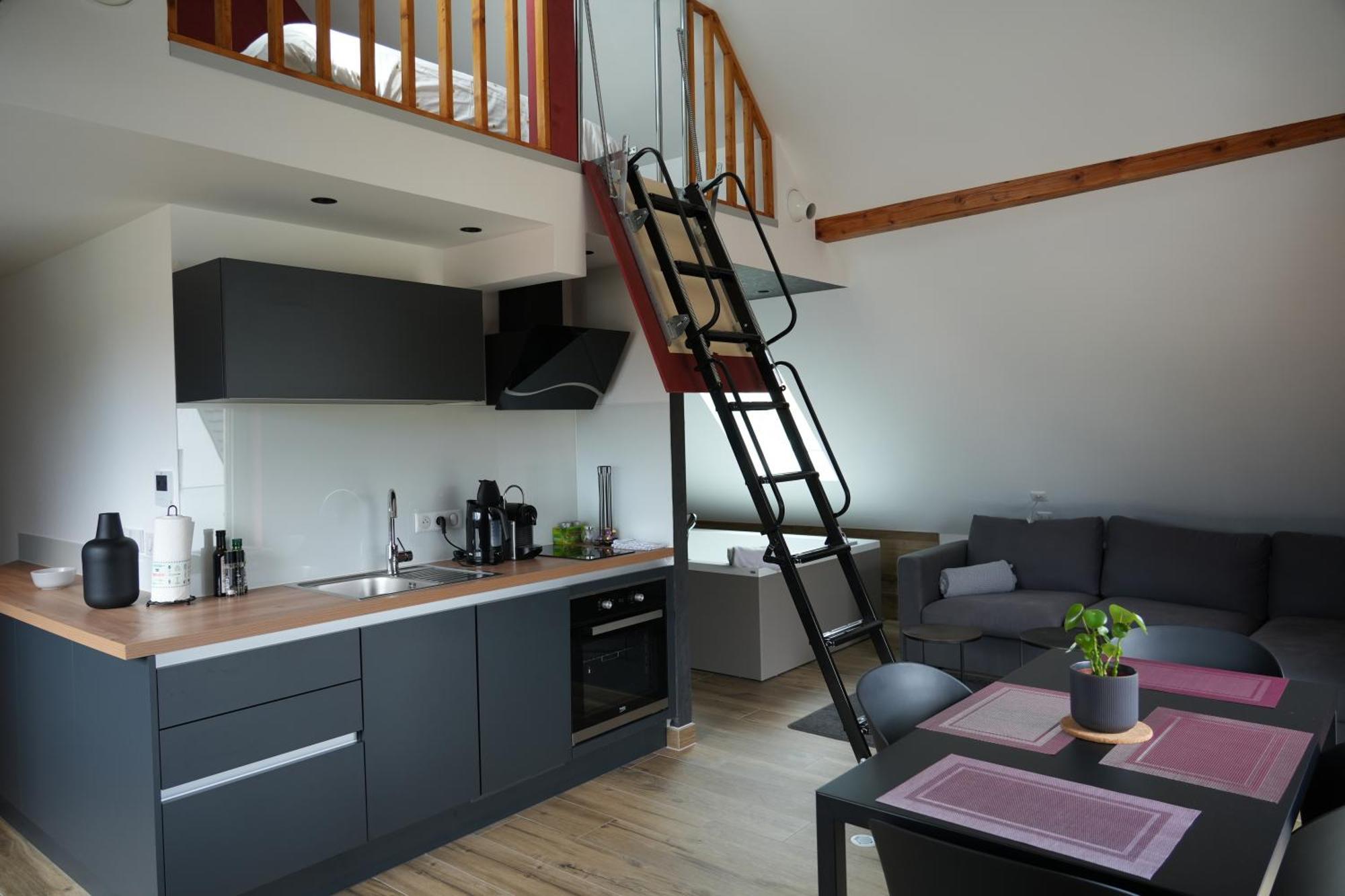 Gite Spa L'Atelier Emile - Spa Privatif - 5 Min Colmar Sainte-Croix-en-Plaine Pokoj fotografie